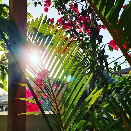 Paraiso Del Mar 滨海帕尔姆