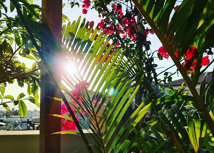 Paraiso Del Mar Palm-mar