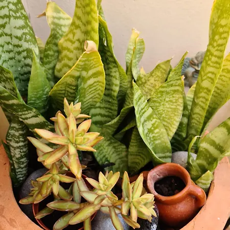 Paraiso Del Mar Appartamento *