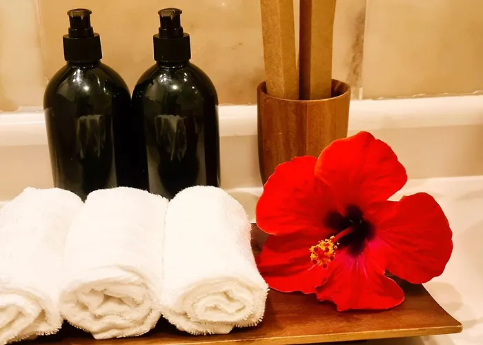 Paraiso Del Mar アパート パルム・マール